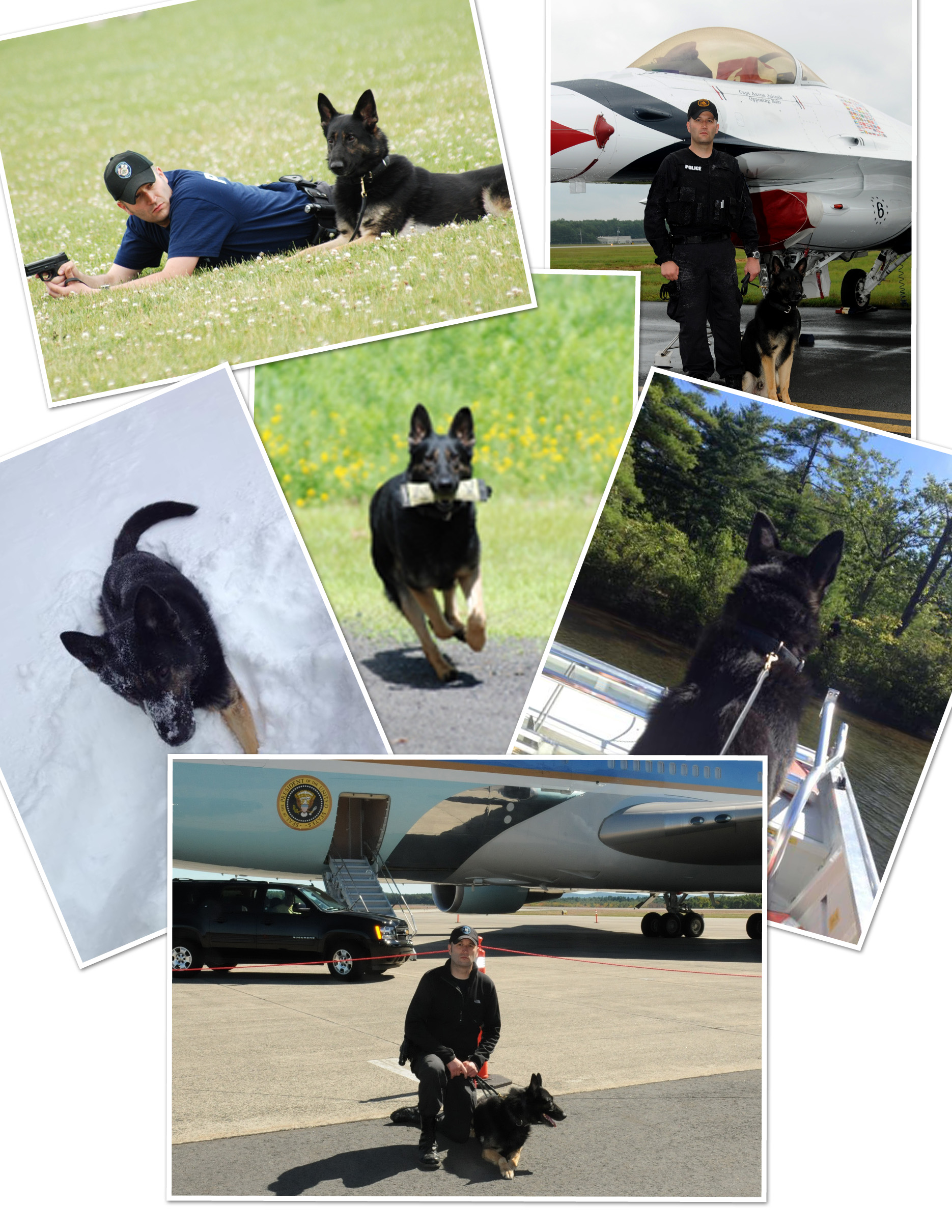 Collage of K-9 Charon
