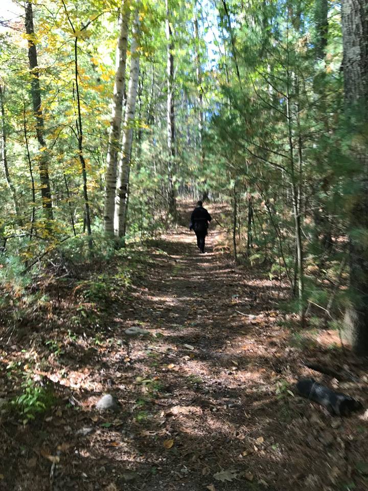 Person Walking on a Trail